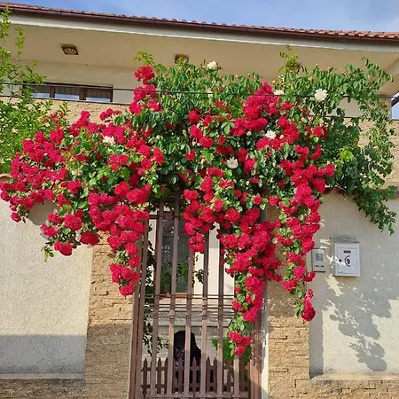 Casa 1 Бухарест